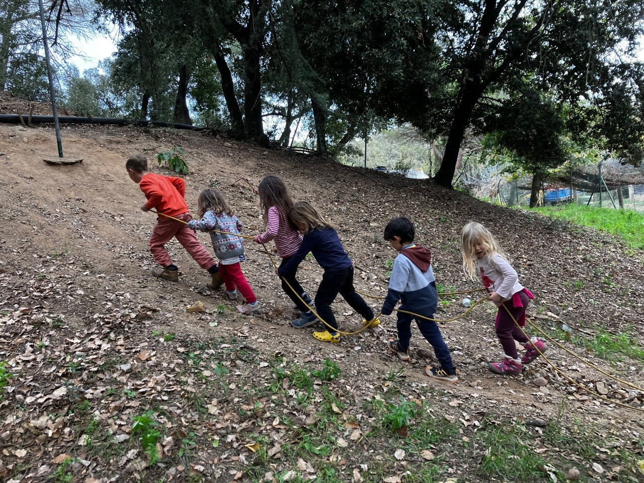 Primary School students in a lesson outdoors