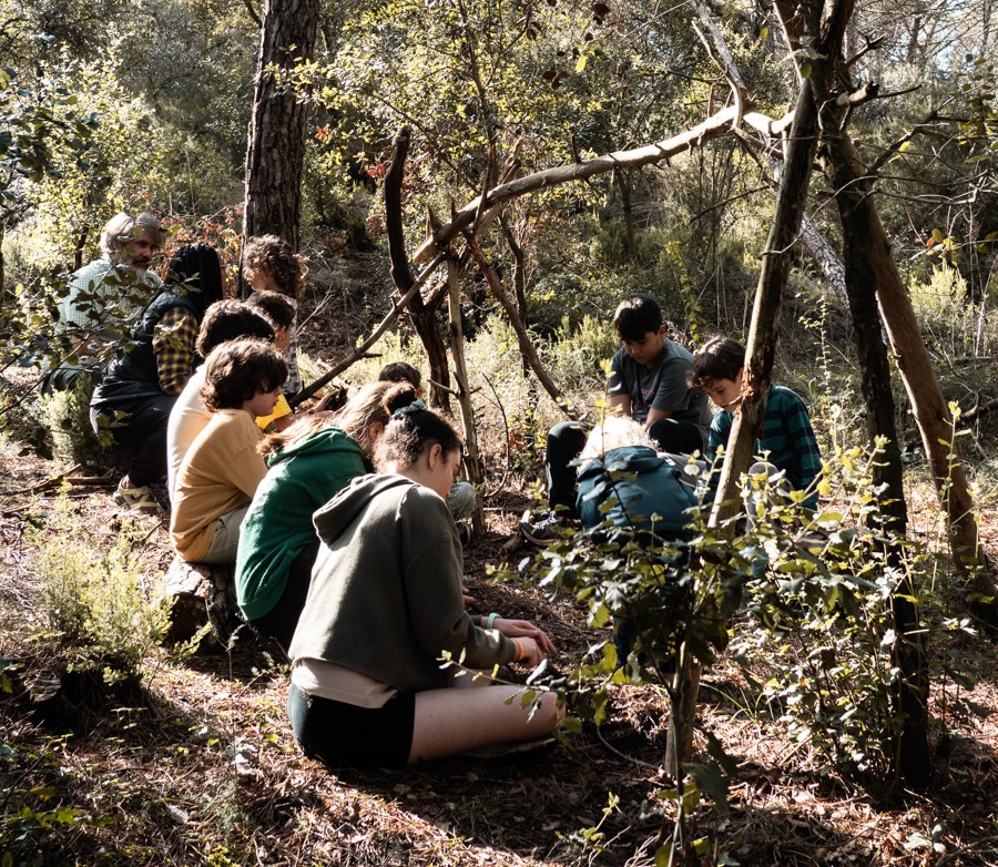A visiting school group on a nature workshop