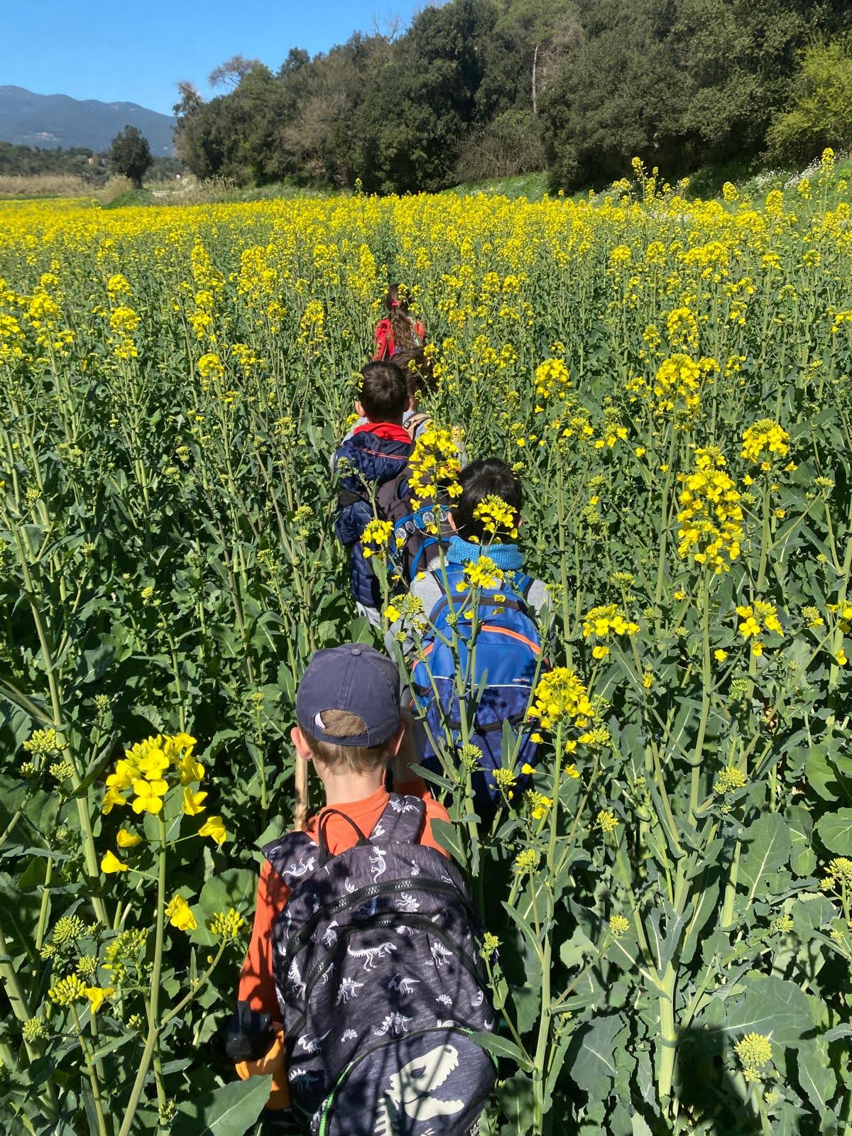 Children exploring the forest classroom at The Chestnut Tree, Llinars del Vallès