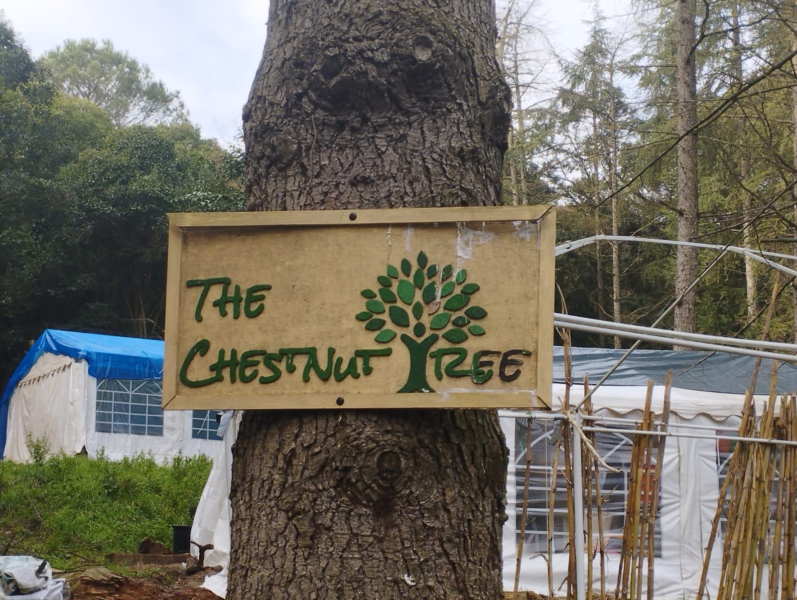 Volunteers working with children outdoors